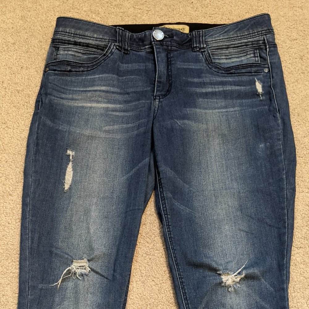 Distressed Democracy Absolution Jeggings